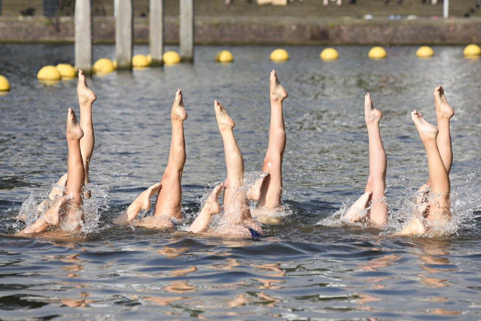 Zwemvereniging de Dolfijn III